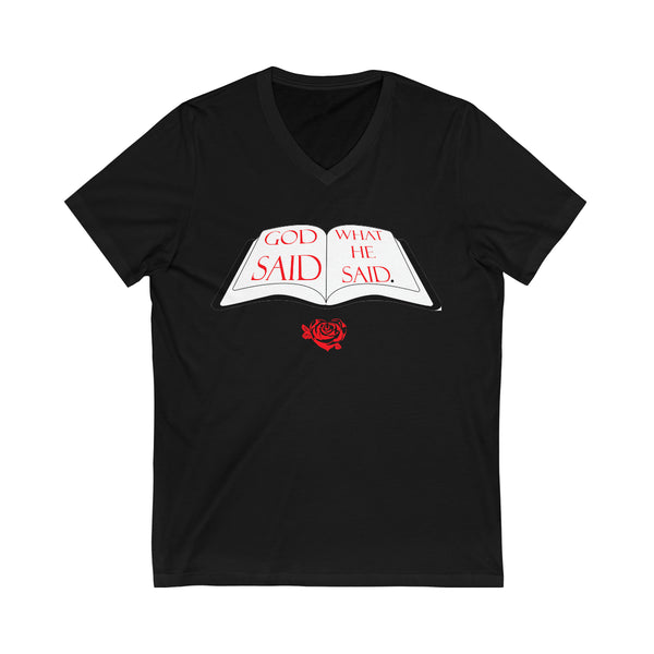 Unisex Jersey Short Sleeve V-Neck Tee