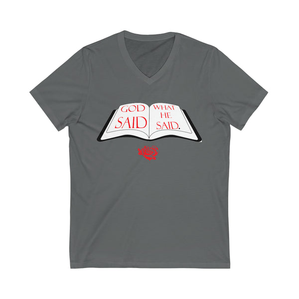 Unisex Jersey Short Sleeve V-Neck Tee