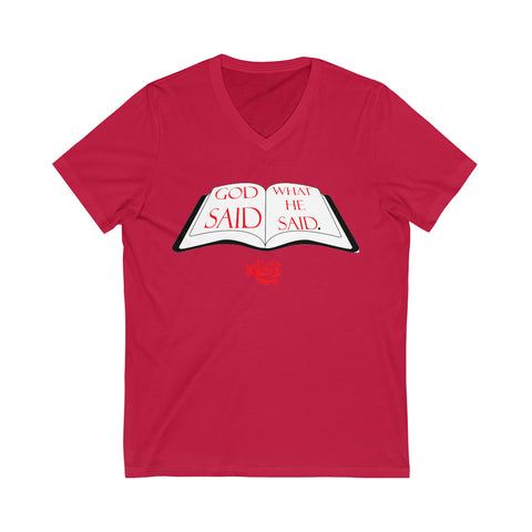 Unisex Jersey Short Sleeve V-Neck Tee